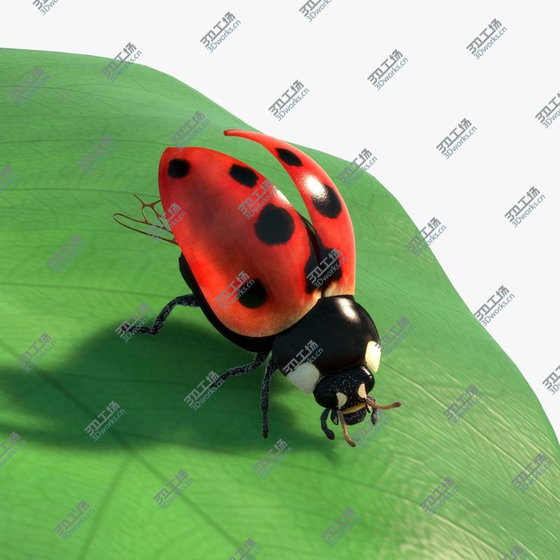 images/goods_img/2021040234/Ladybug Rigged Animated/1.jpg